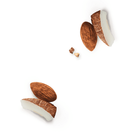 deco
