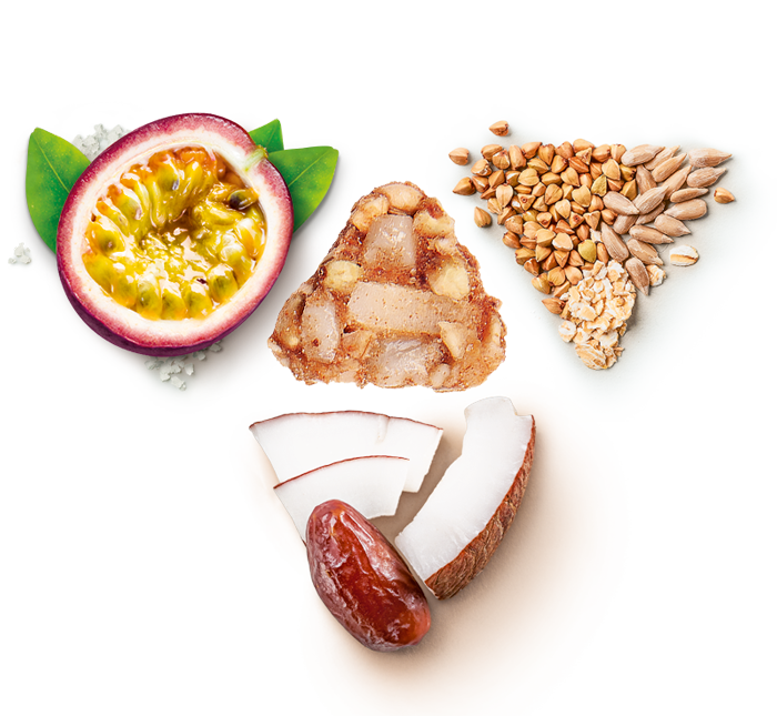 Granola Coco Passion - Composition ingrédients granola bio noix de coco fruit de la passion