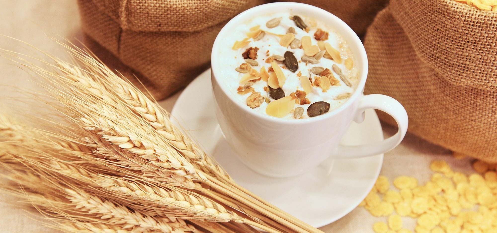 Céréale sans sucre : Quelles sont les céréales les plus saines ?